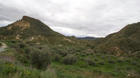 Photo 4 of Residential for sale in Algezares, Murcia Capital