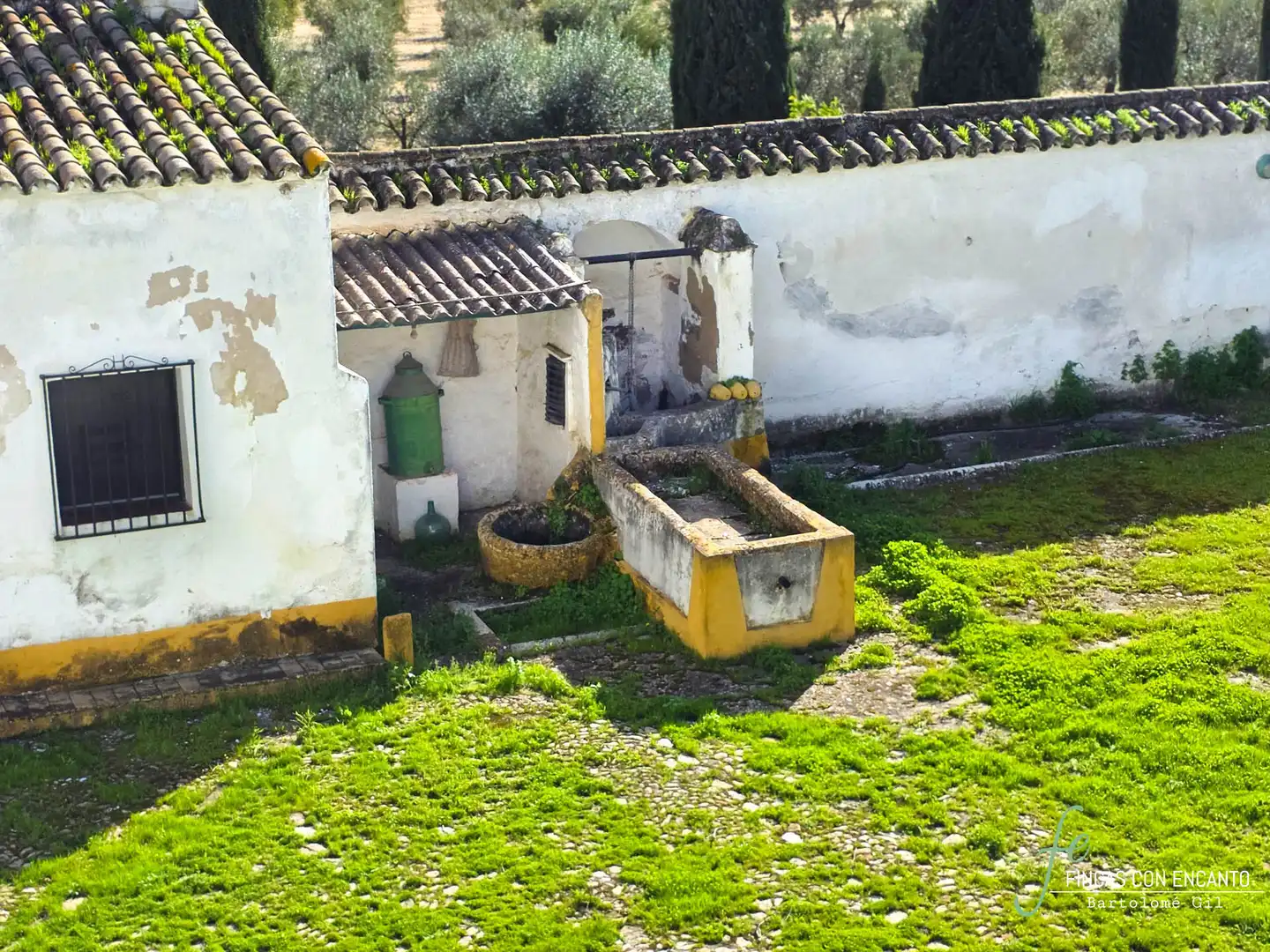 Garden of Country homes for sale in Marchena  with Swimming Pool and Alarm