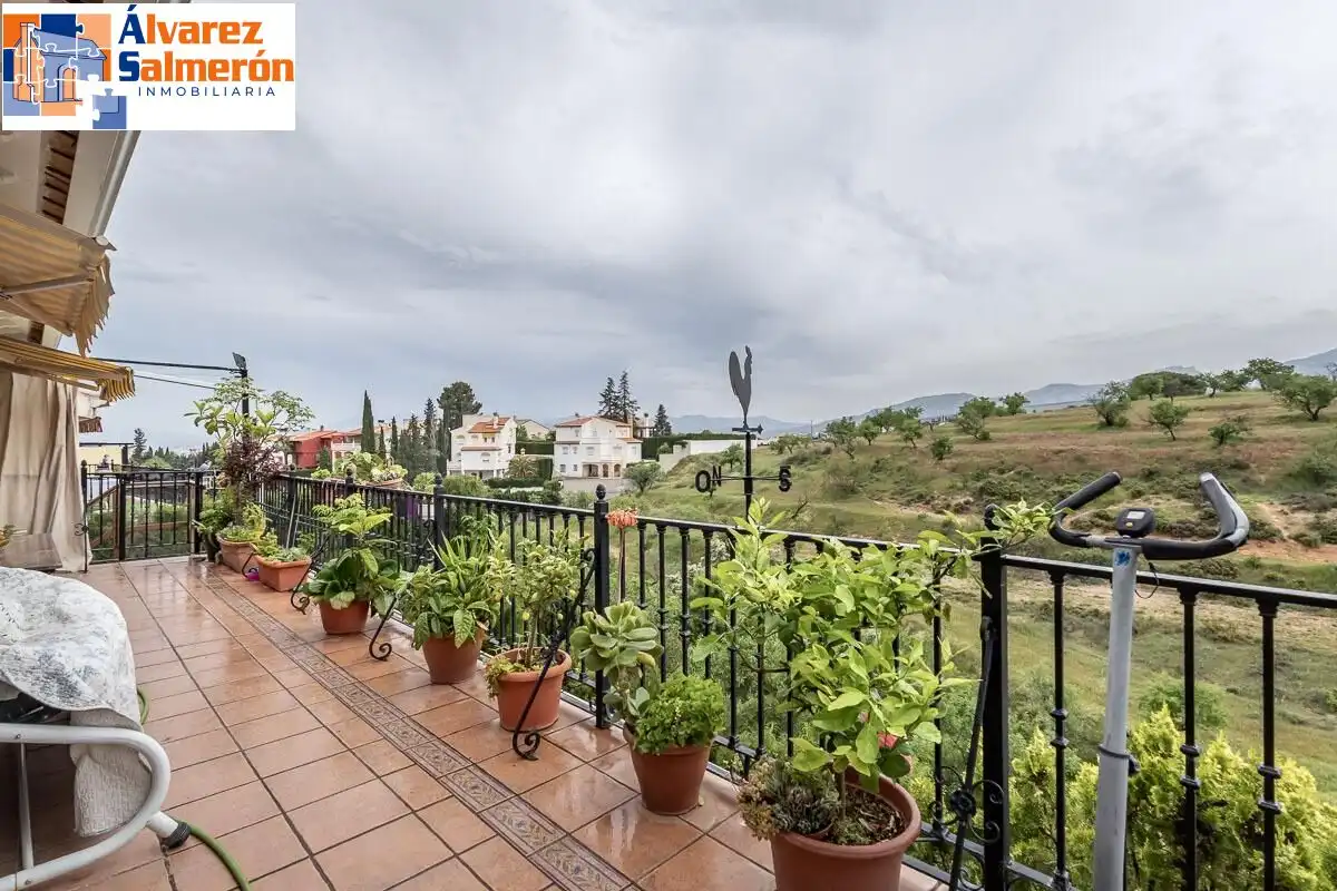 Detached house with terrace for sale in Calle Calle Sauce, imagen 41