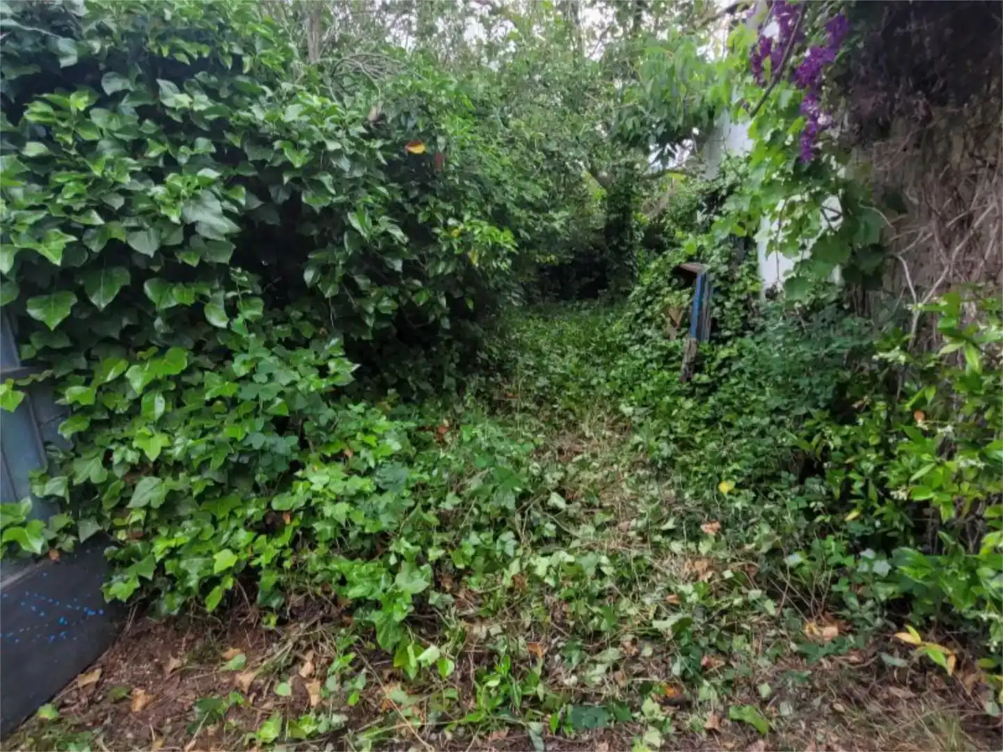 Finca rústica en venda en Allín / Allin