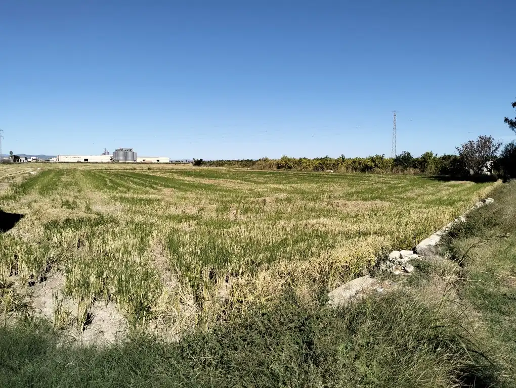 Nave industrial en venta en Sueca