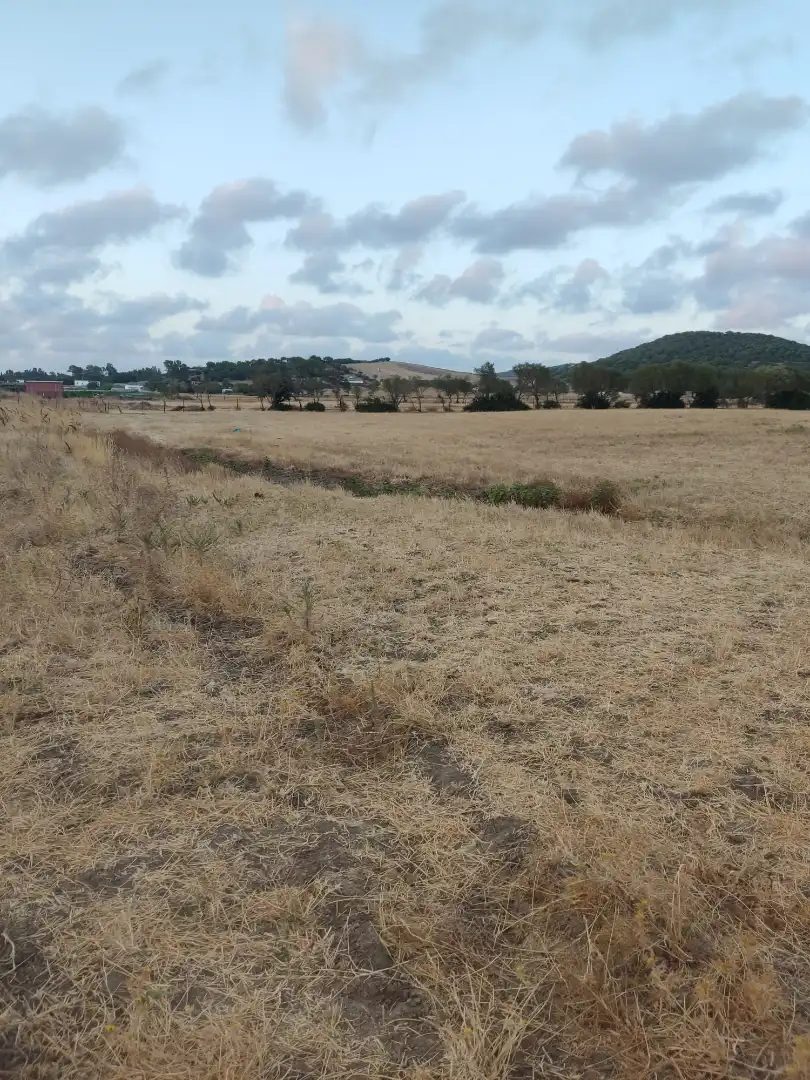 Land for sale in Vejer de la Frontera