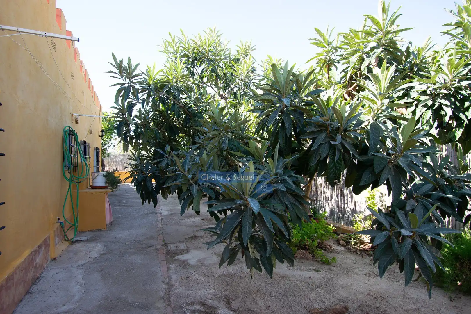 Jardí de Finca rústica en venda en Llíria