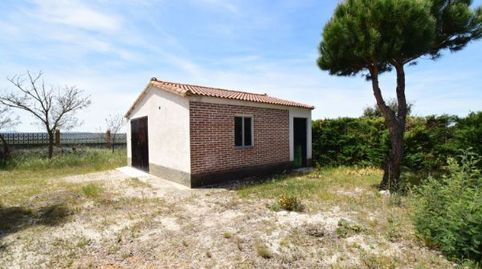 MAELLO, immagine 2