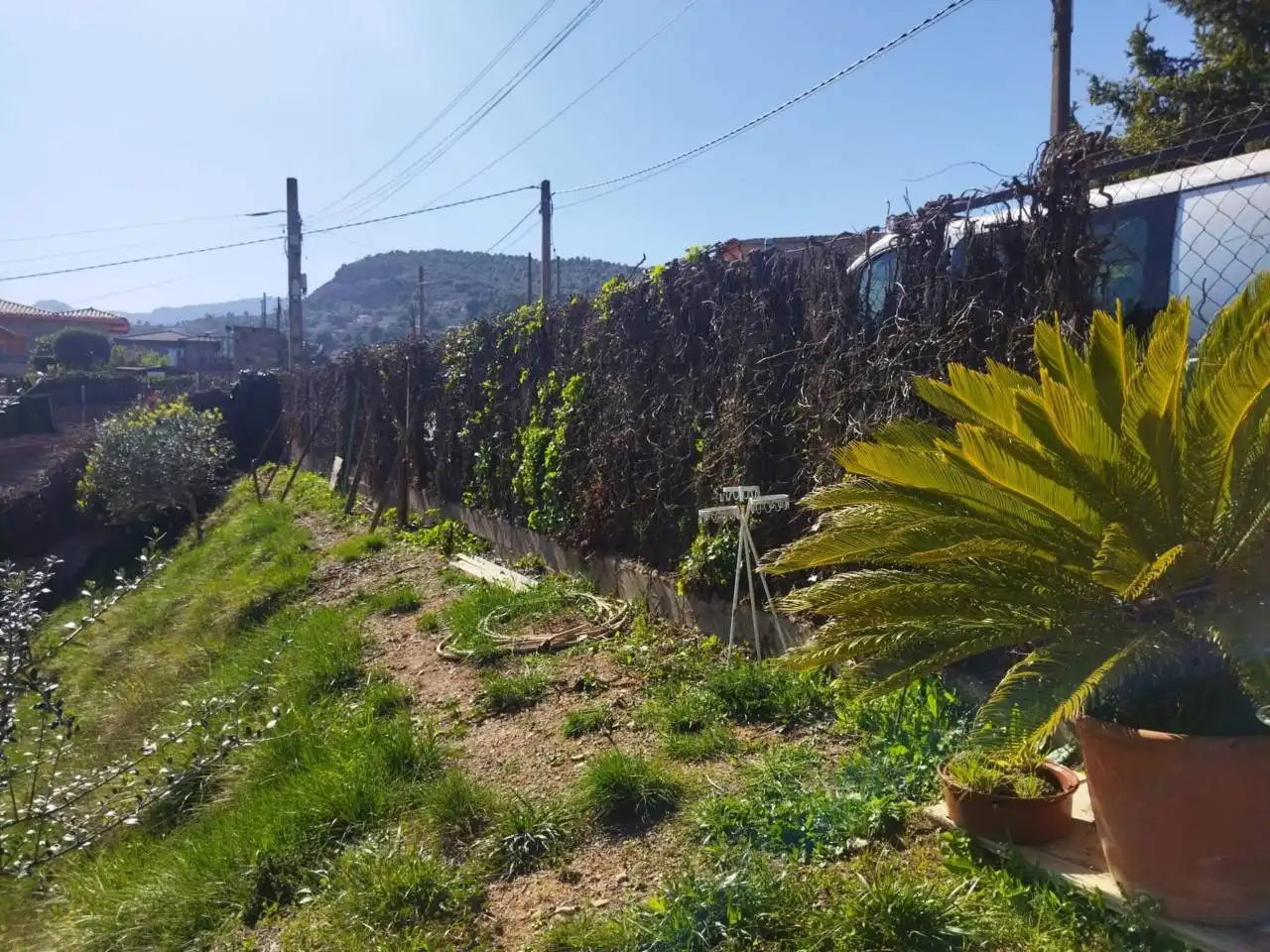 Exterior view of Land for sale in Sant Llorenç Savall