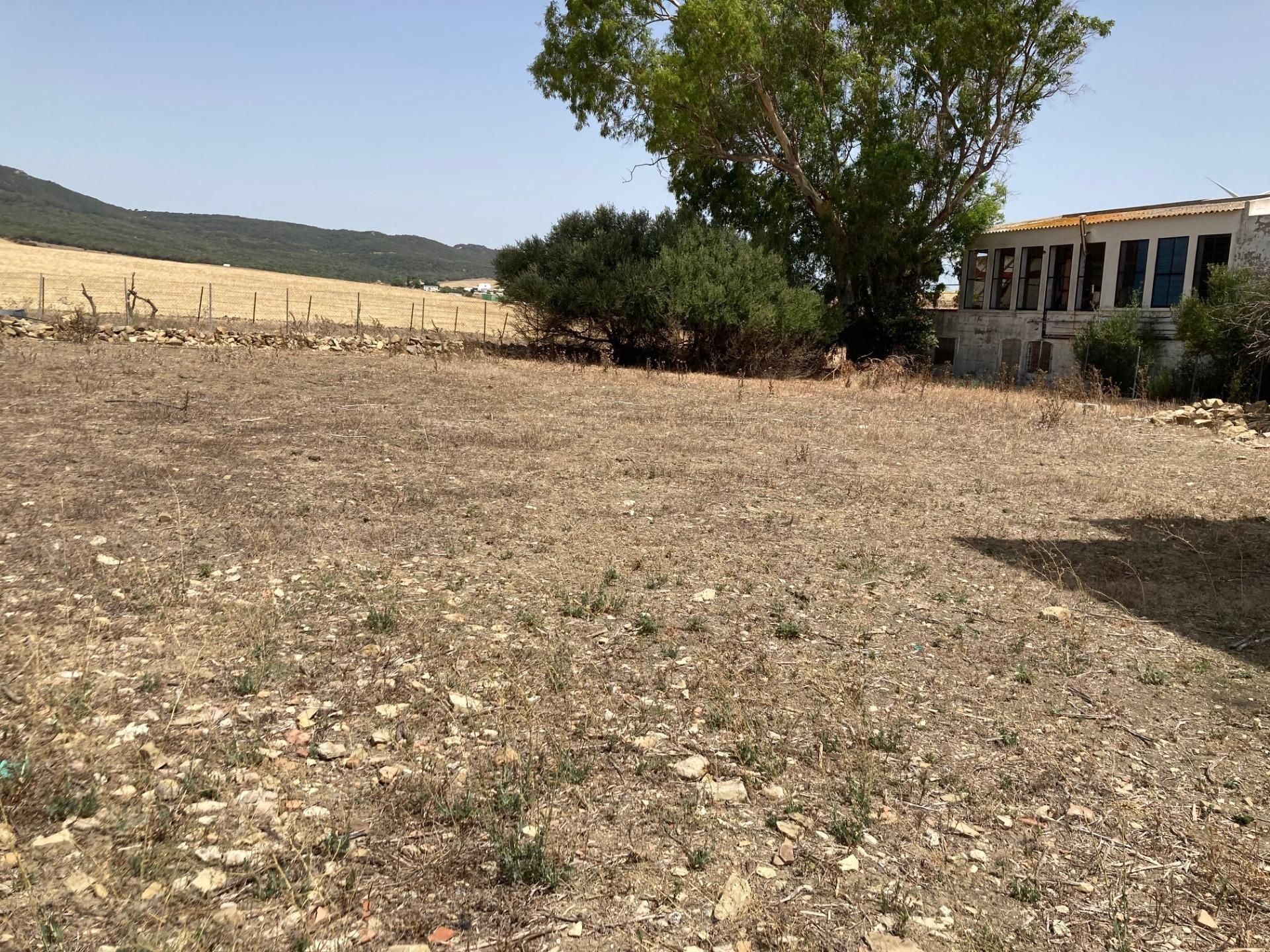 Finca rústica en venda en Tarifa amb Jardí privat i Traster