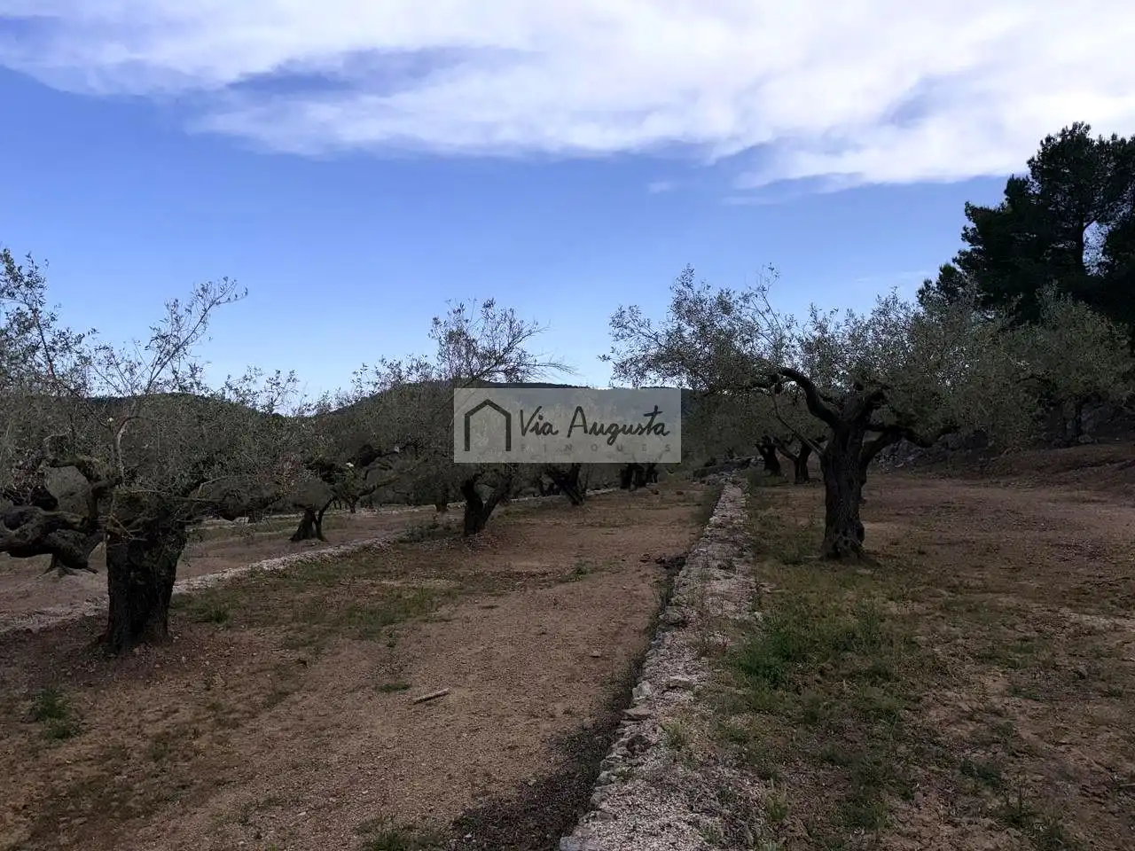 Country homes for sale in Tortosa