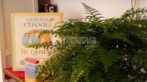 Foto 5 de Piso en venta en Zona Botánico, Puerto de la Cruz