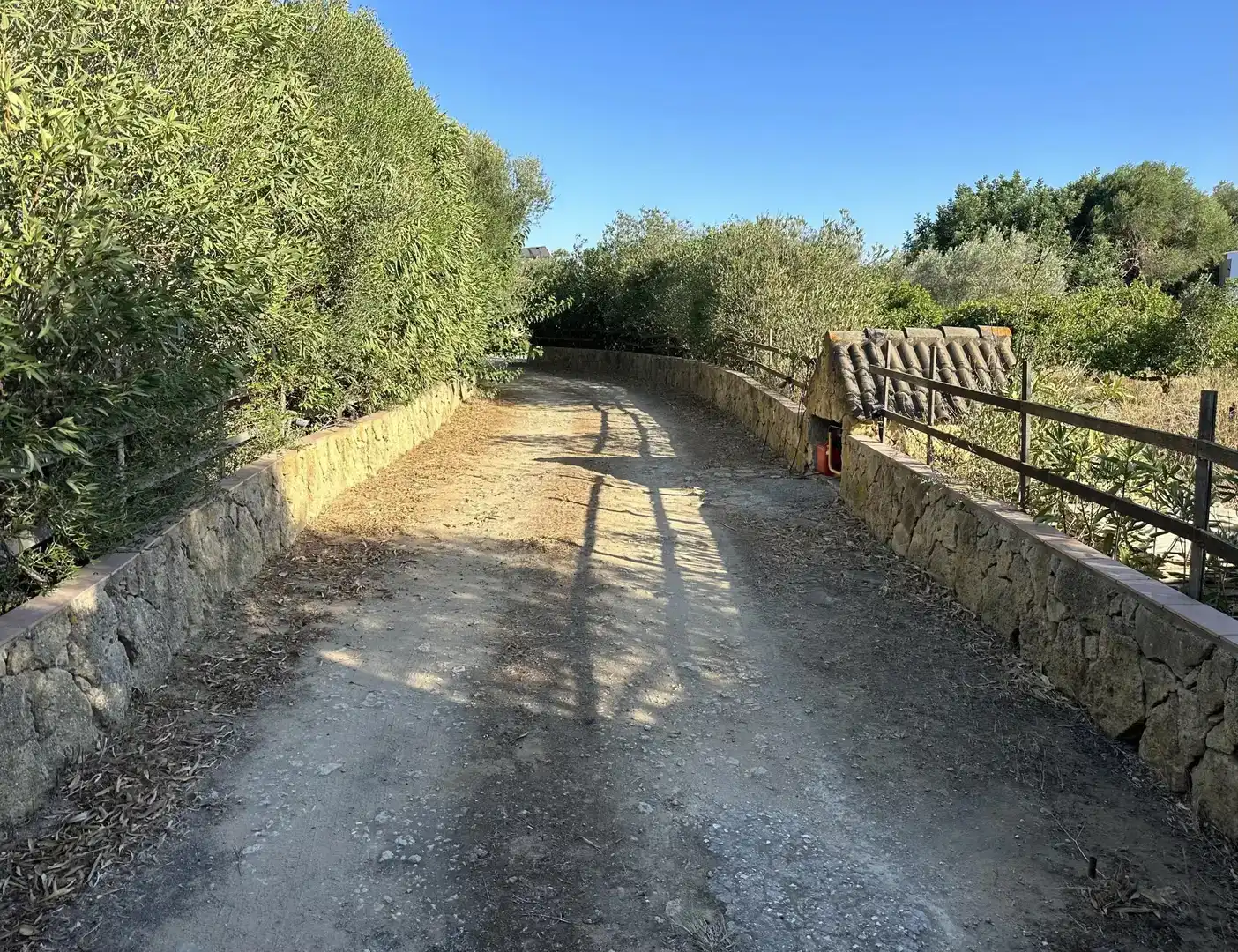 Finca rústica en venda a Calle Benalup-medina, 3, Medina Sidonia
