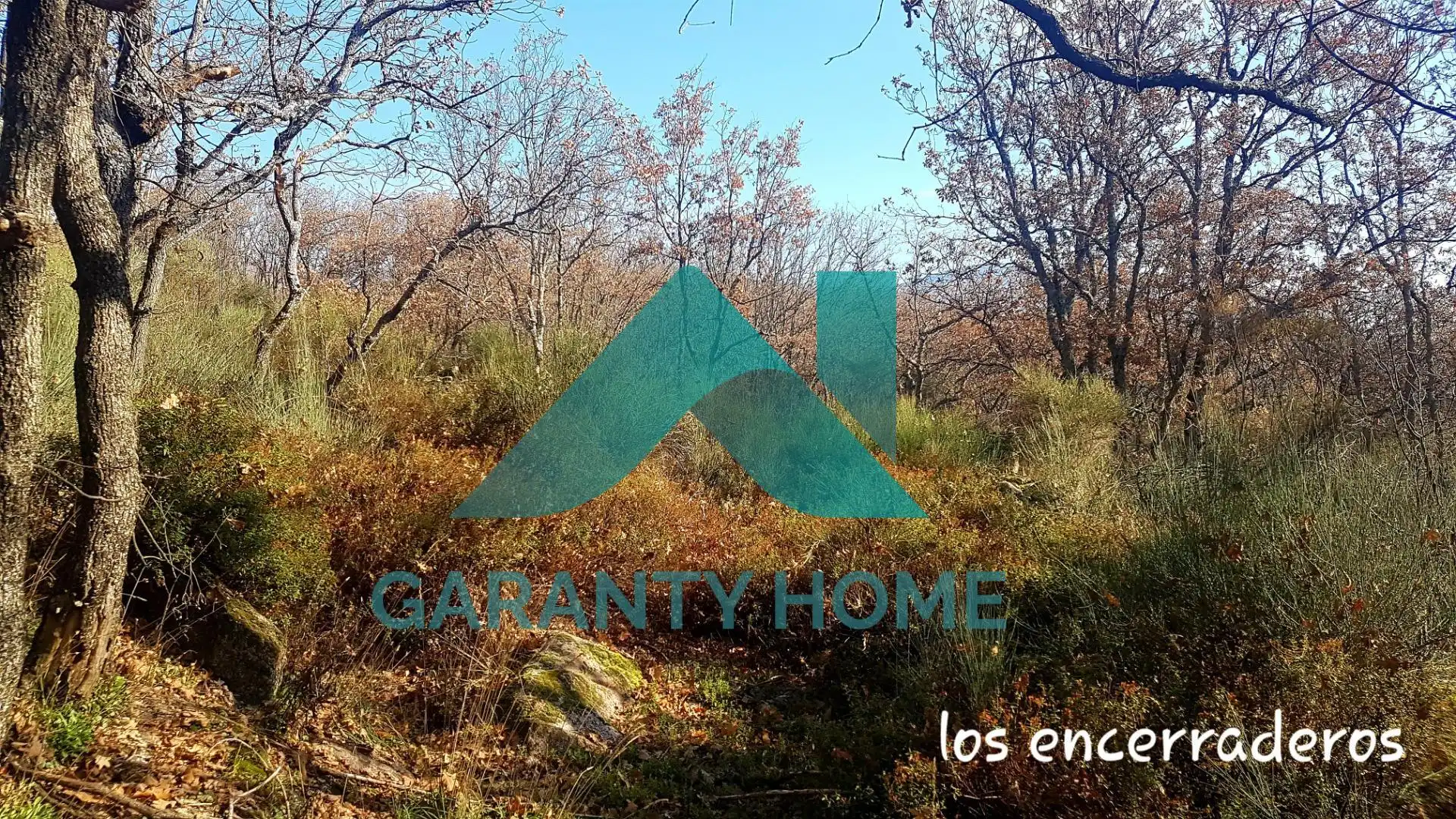 Finca rústica en venta en Aldeanueva de la Vera