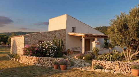 Finca con casita a 15 minutos de la playa., image 4