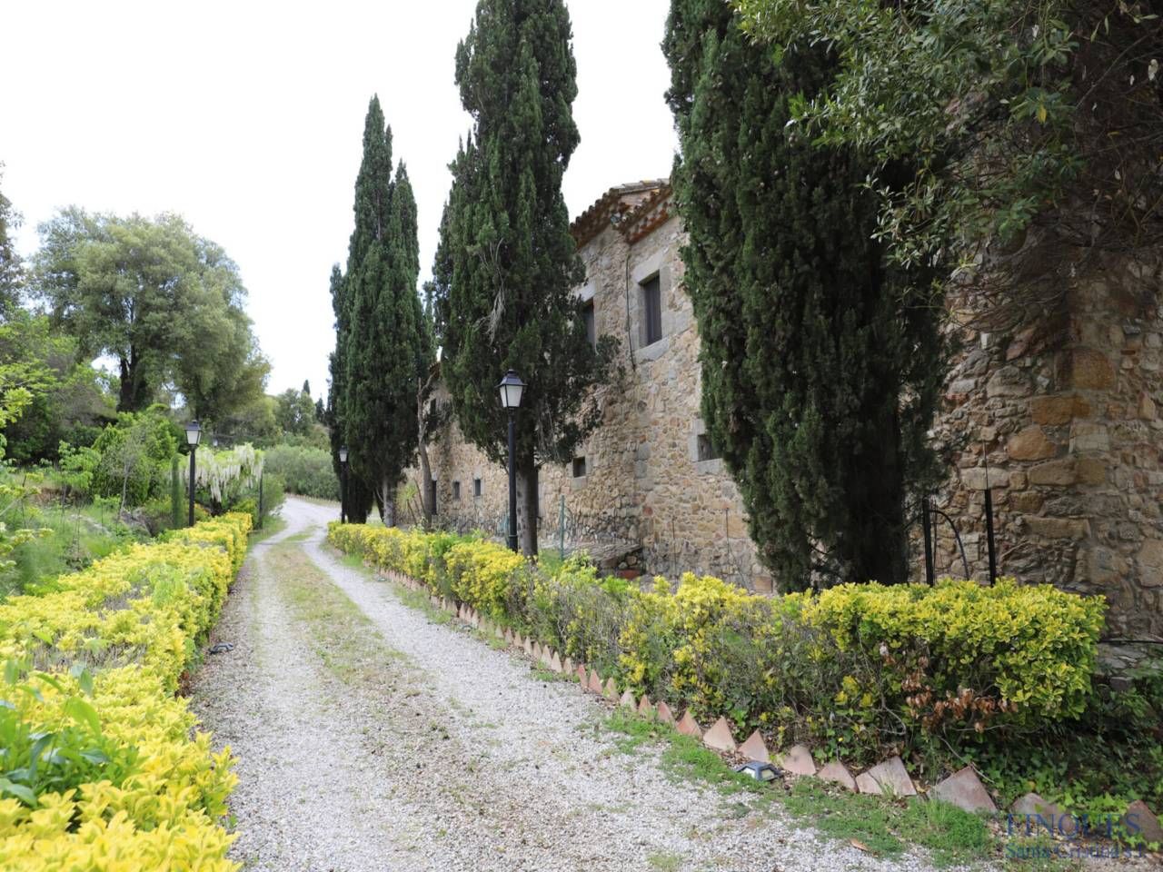 Finca rústica en venta en Cabanyes - Mas Ambrós - Mas Pallí