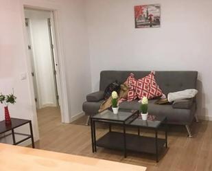 Living room of Flat to rent in  Córdoba Capital  with Air Conditioner, Heating and Furnished