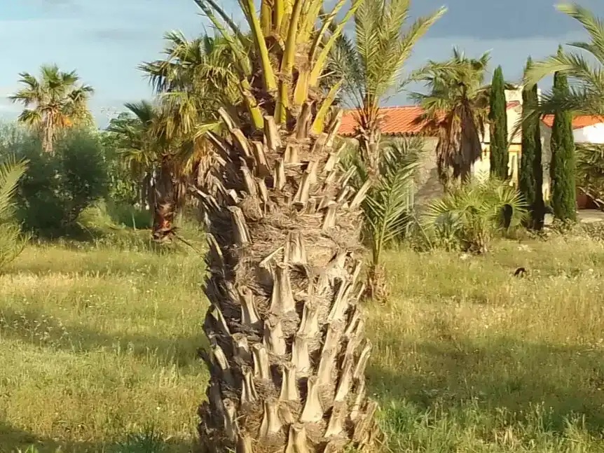 Flat for sale in Useras /  Les Useres  with Air Conditioner, Private garden and Storage room