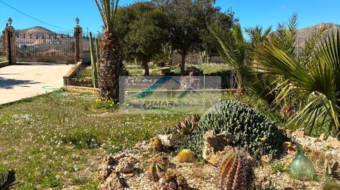 Foto 5 de Casa o xalet en venda a Pedanías Este, Aspe