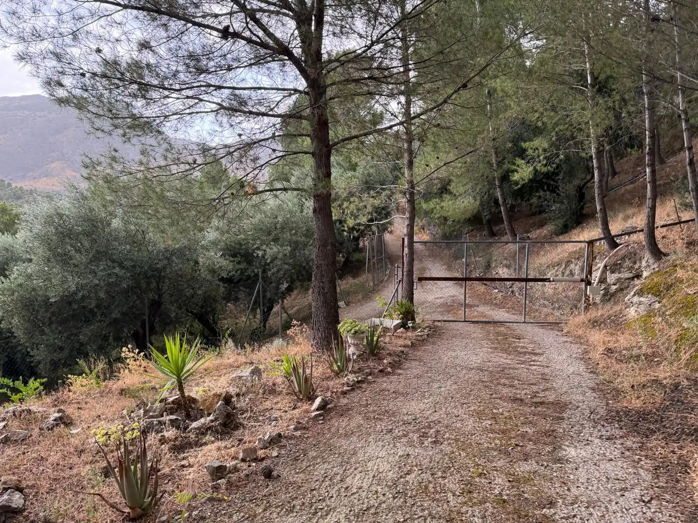 Country house zum Verkauf in Jaén mit Privatgarten, Terrasse und Schwimmbad