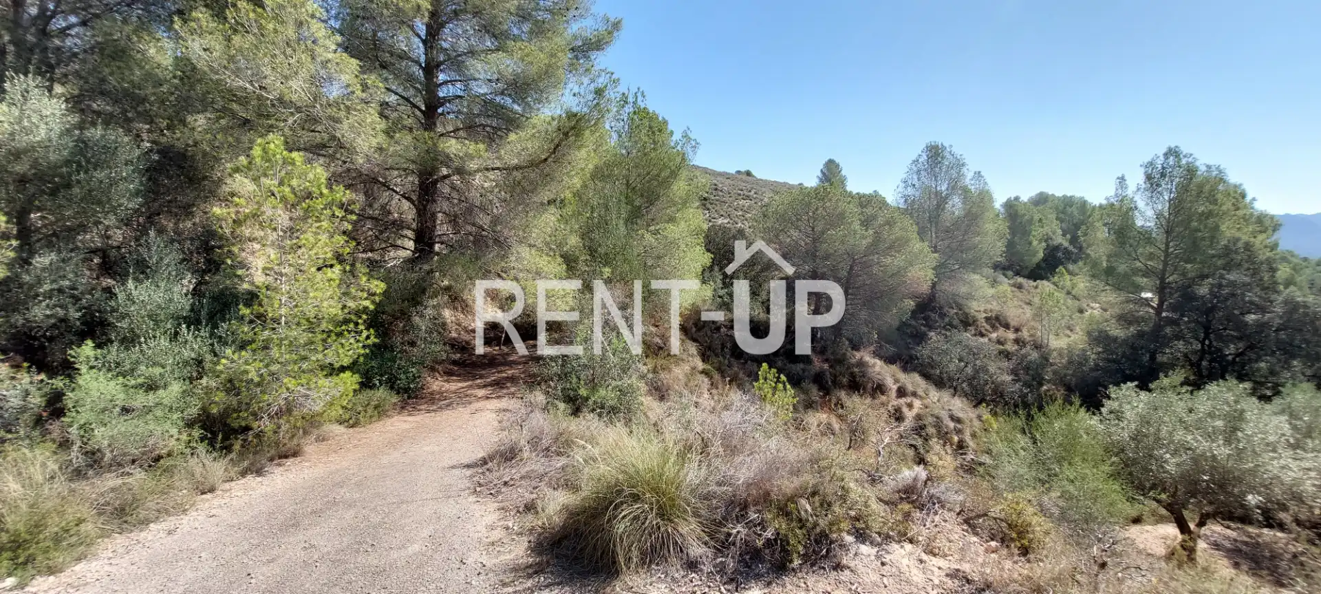 Terreny rústic en venda a Xàtiva, imagen 3