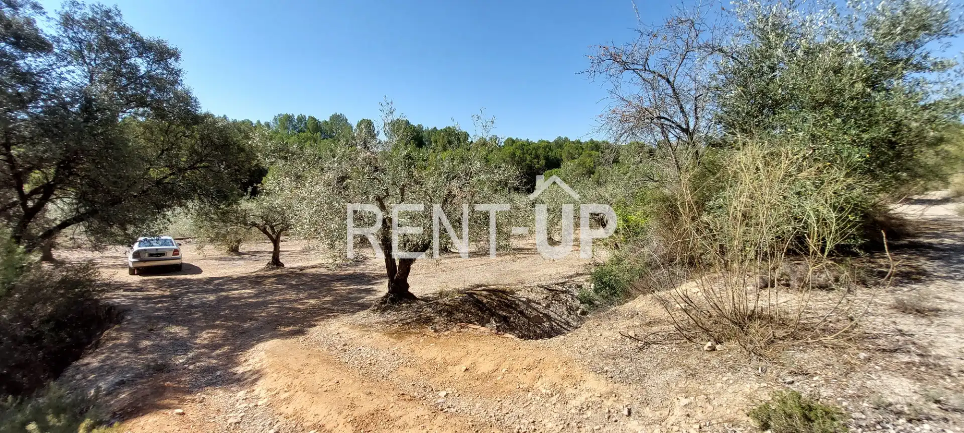 Terreny rústic en venda a Xàtiva, imagen 10