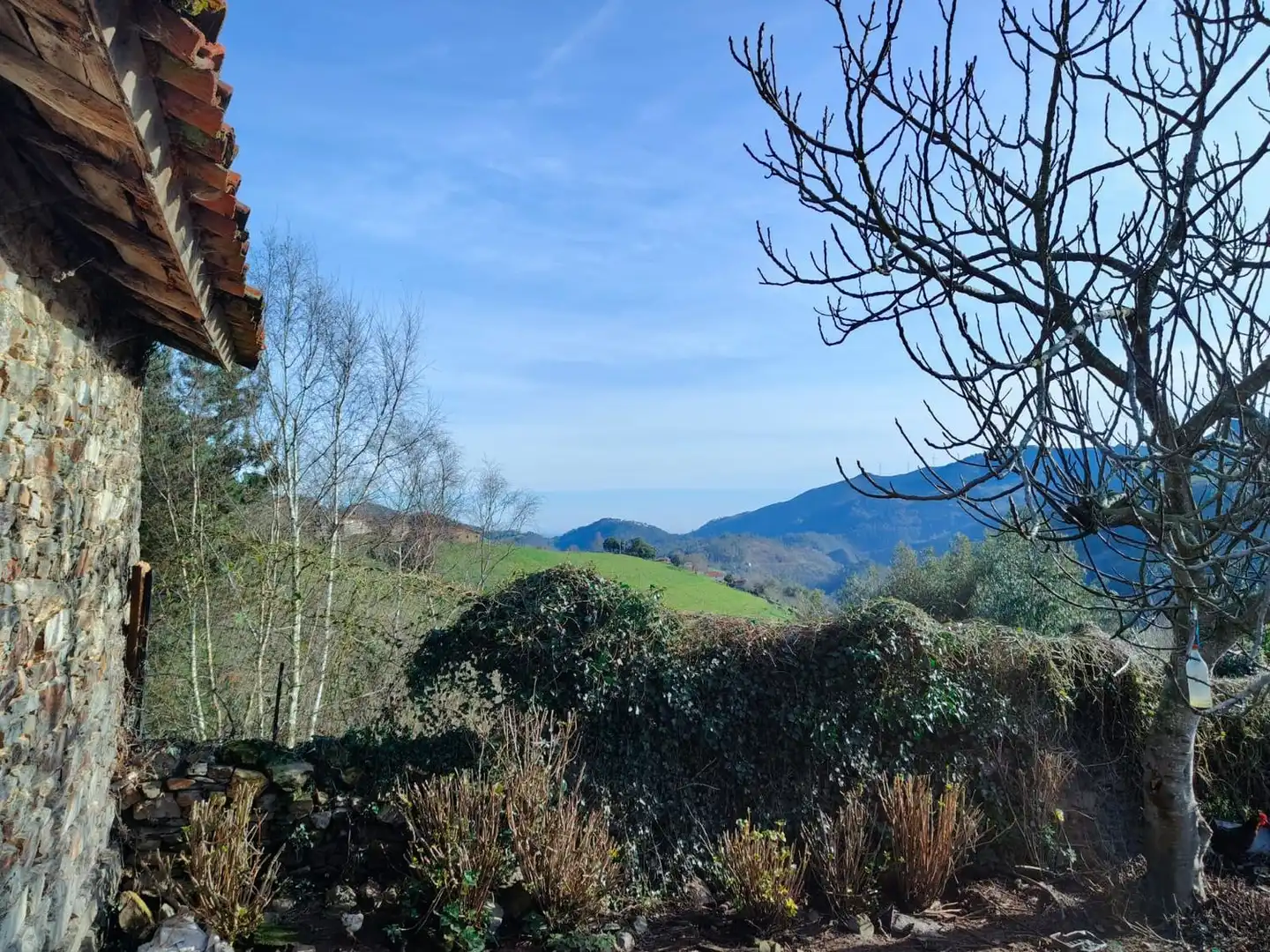 Jardín de Casa o chalet en venta en Valdés - Luarca con Terraza, Trastero y Piscina