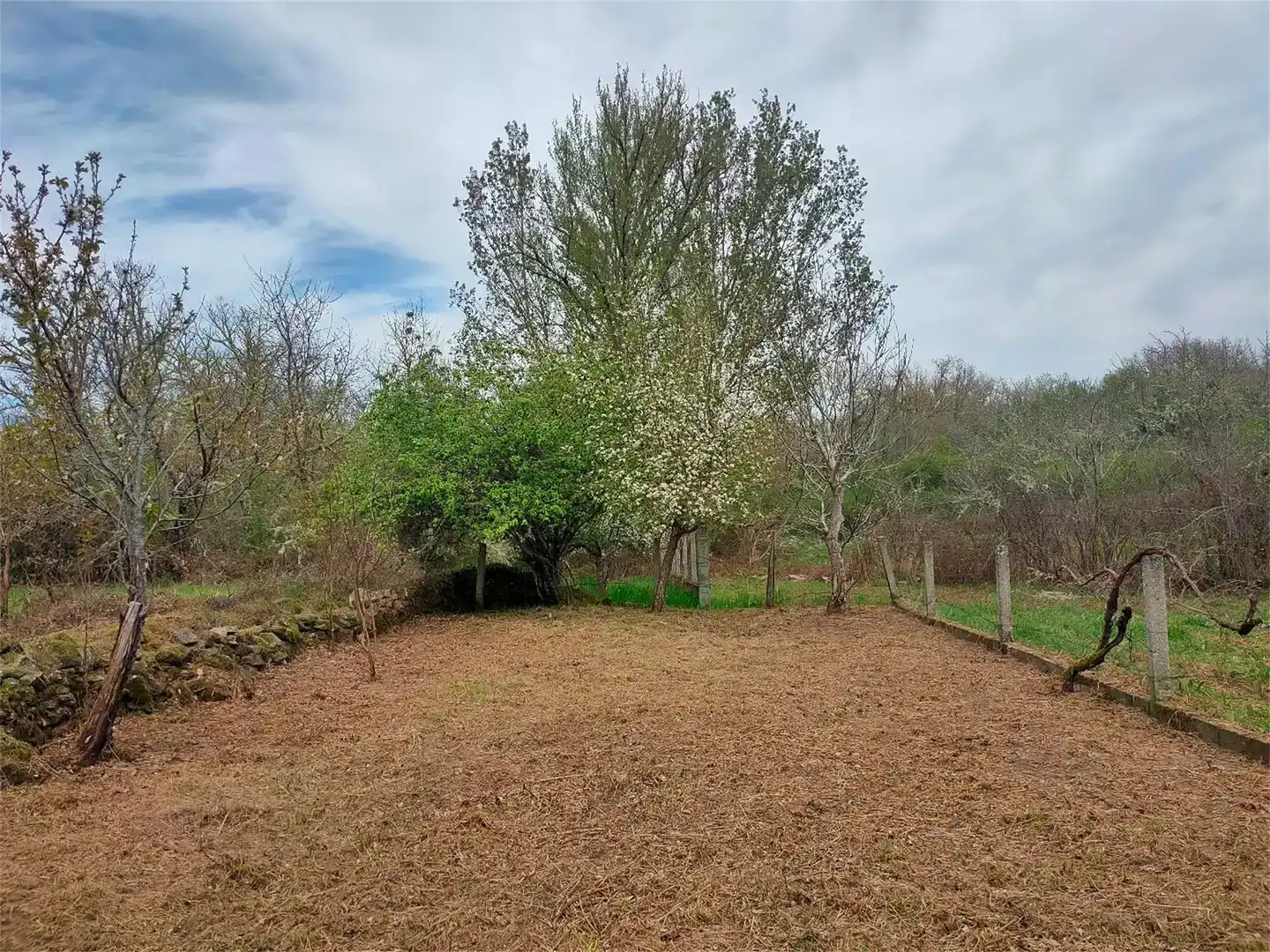 Finca rústica en venda en Sober amb Jardí privat