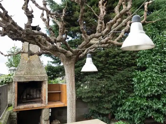 Casa amb jardí en venda a Viver 9, imagen 19