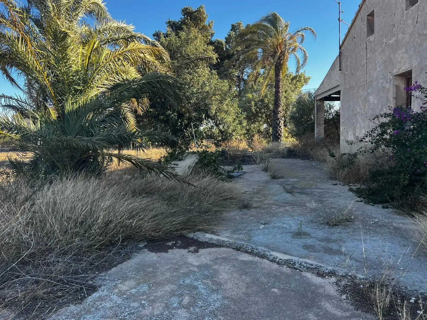 Casa o xalet en venda a Perleta - Maitino