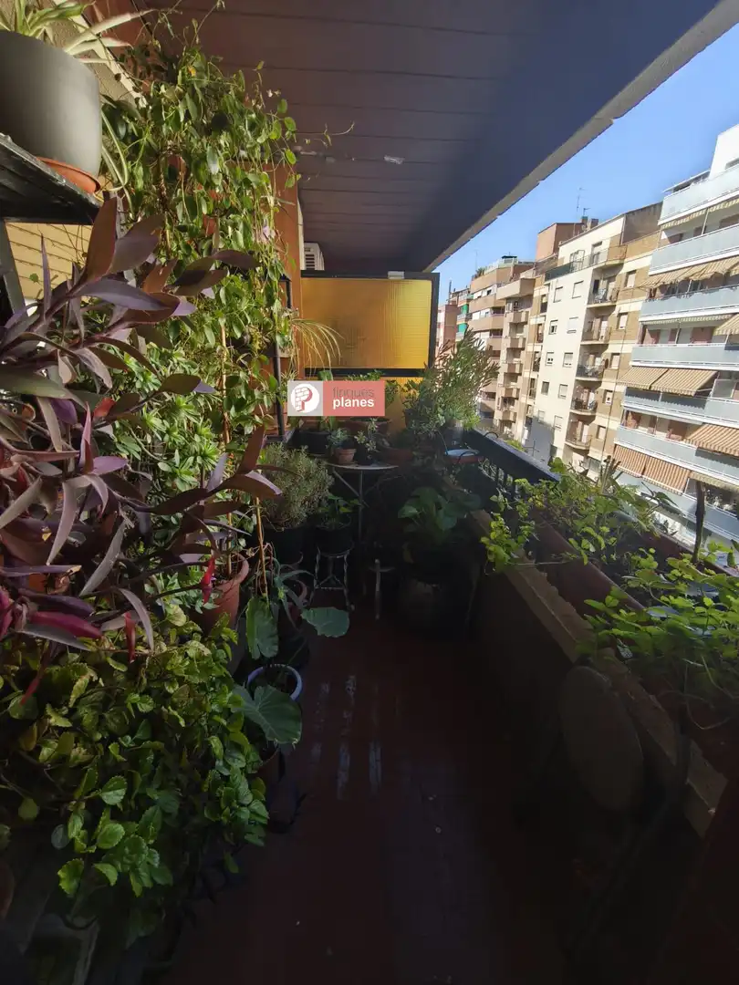 Appartamento con terrazza in vendita a BISBE RUANO, imagen 4