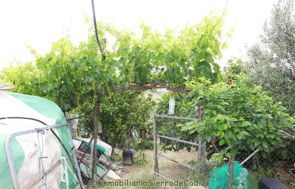 Casa rustica in vendita a Cerro de Conejos, imagen 52