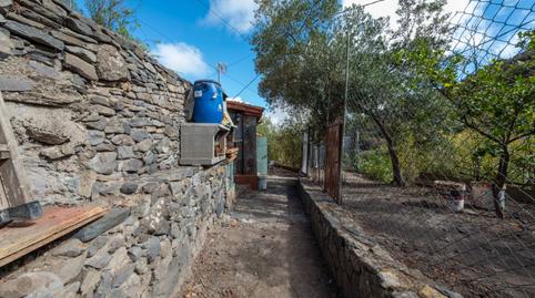 Photo 4 of House or chalet for sale in Valleseco, Las Palmas
