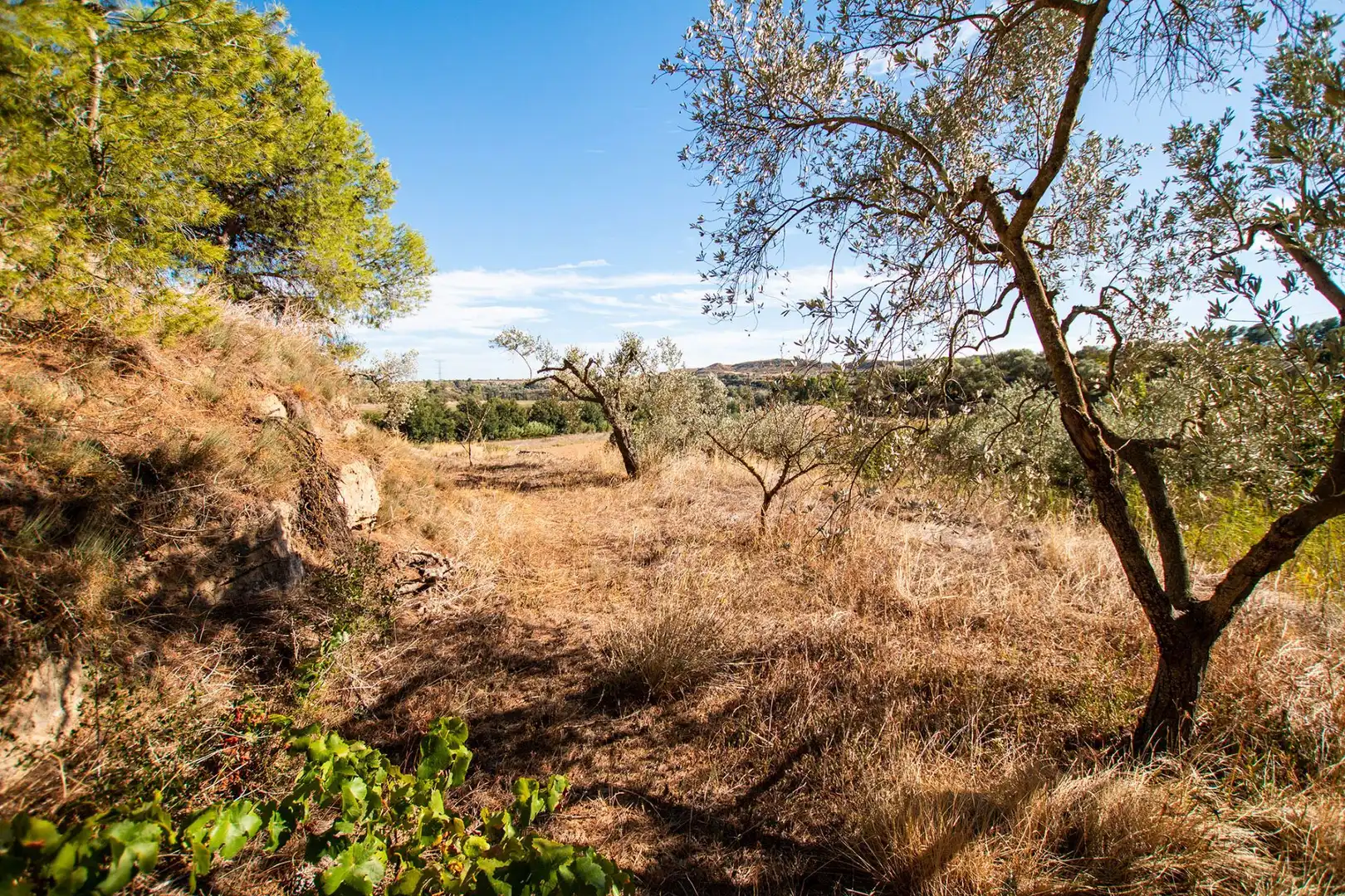 Terreno en venta en Caspe
