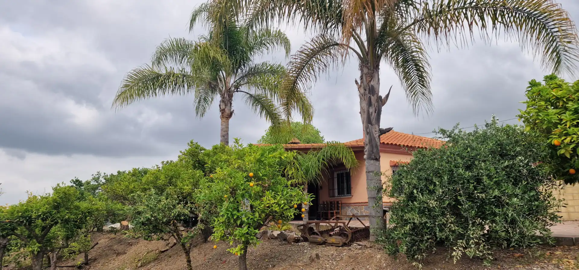 Casa rústica amb jardí en venda a Coín