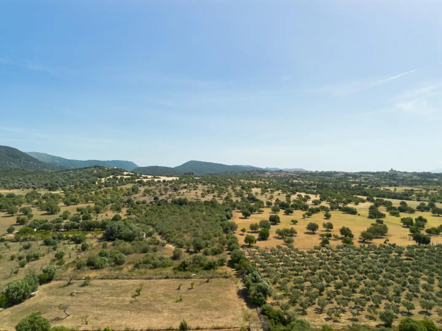 Finca rústica en venta en Selva