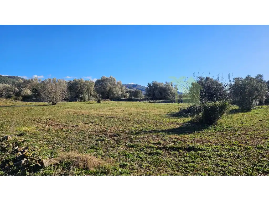 Casa o chalet en venta en Sant Mateu