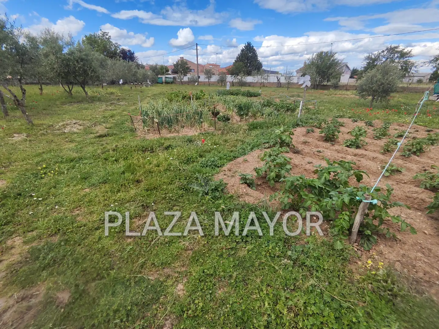 Terreno rustico in vendita a Villares de la Reina, imagen 3