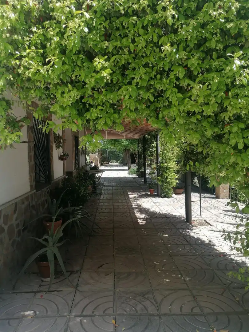 Terraza de Casa o chalet en venta en Brazatortas con Aire acondicionado, Calefacción y Jardín privado