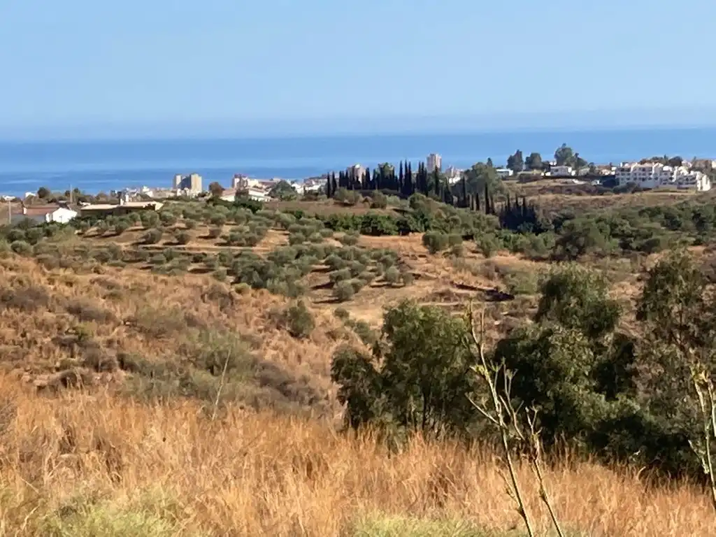 Terrain rustique à vendre à Mijas pueblo, imagen 4