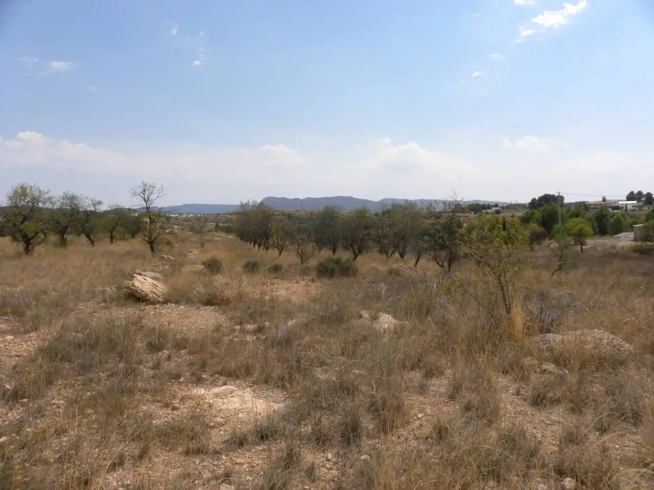 Residential land for sale in Caravaca de la Cruz, imagen 15