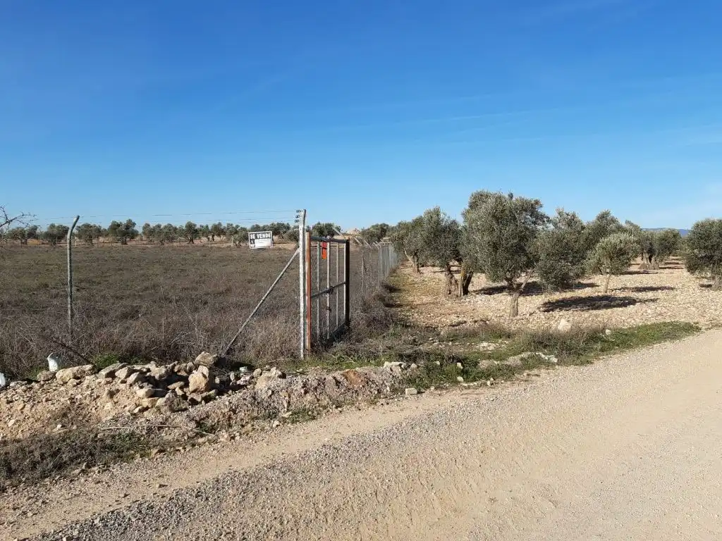 Terreno en venta en Arenas de San Juan 