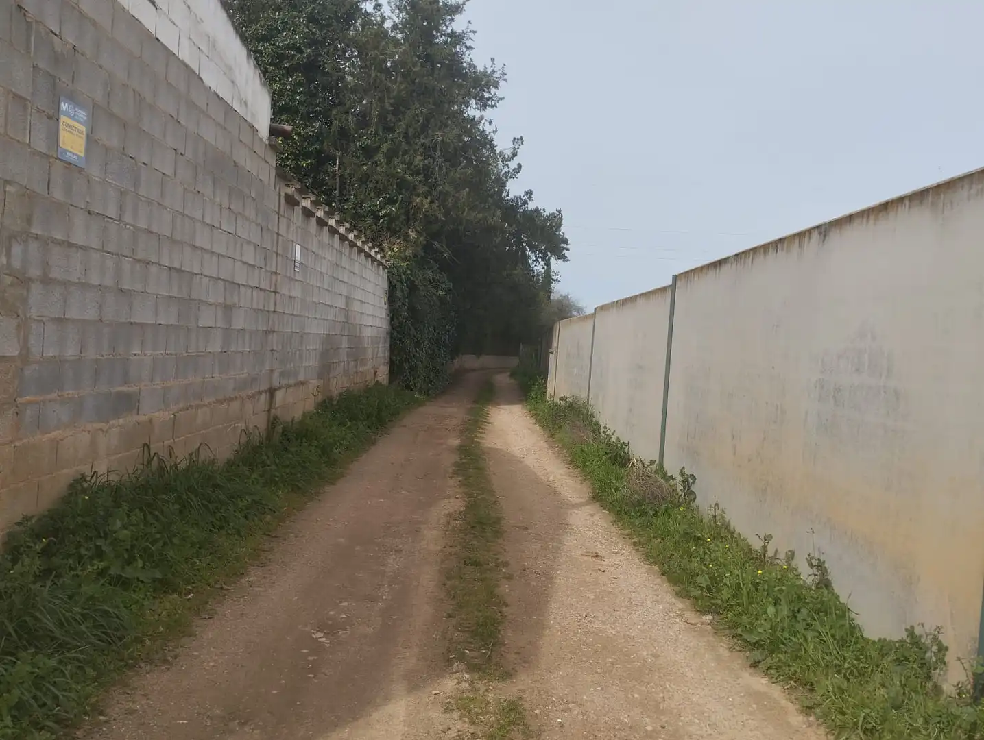 Terreni e lotti in vendita a Sanlúcar la Mayor