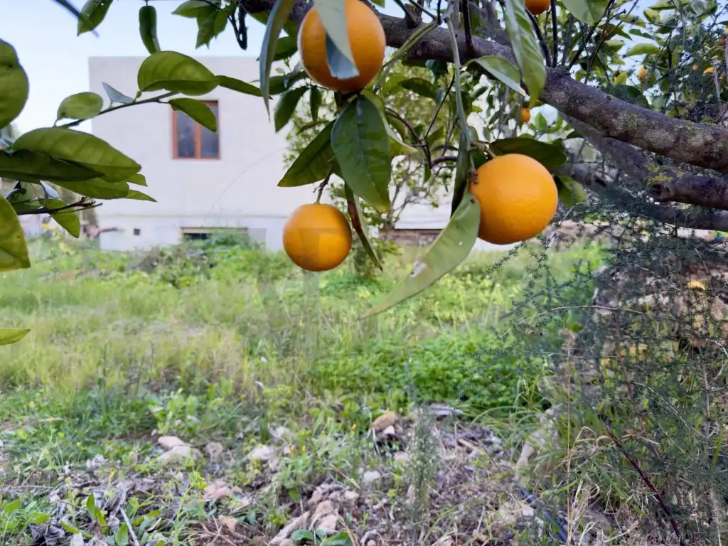 Casa o xalet en venda en Sant Josep de sa Talaia amb Jardí privat