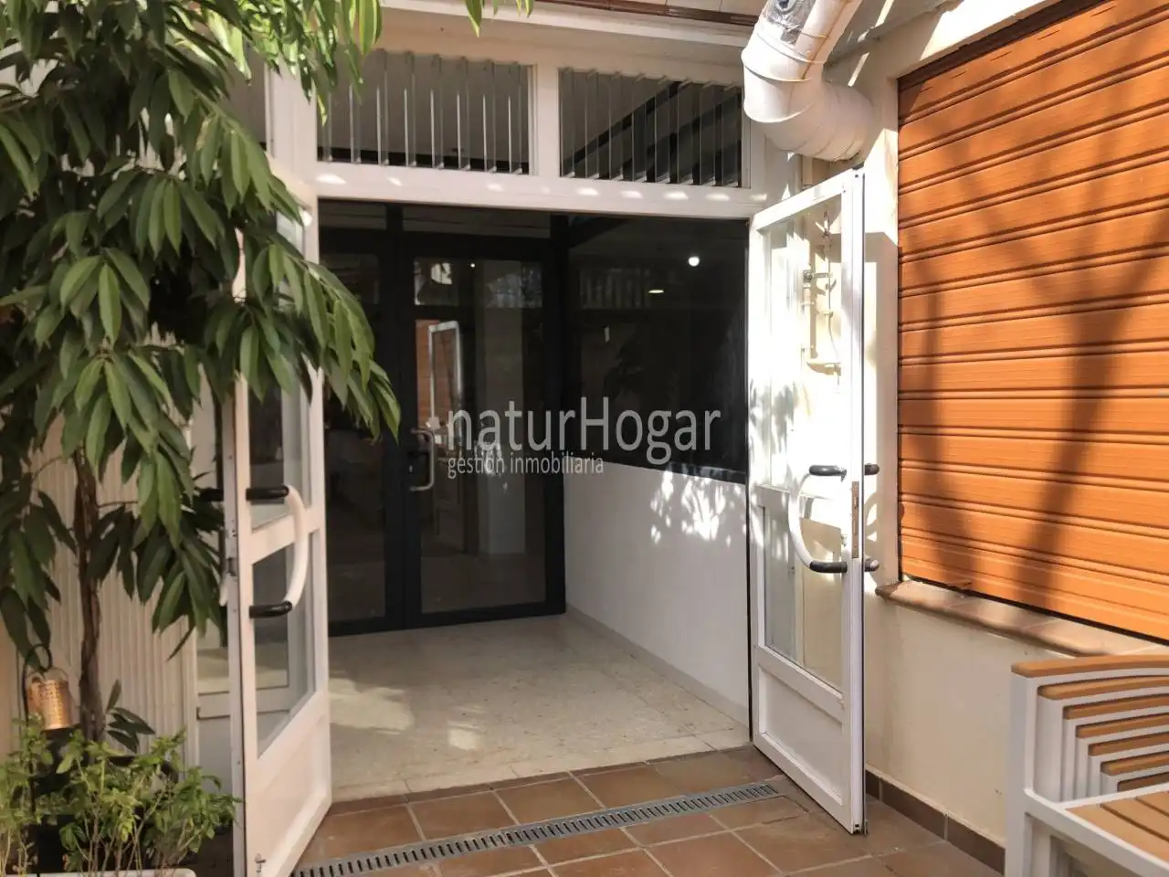 Local comercial en alquiler en Calle 29