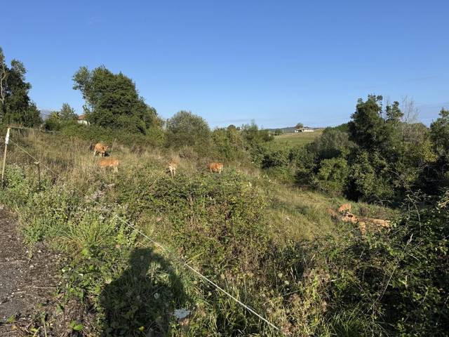 Terreno residencial en Venta en Ribadedeva