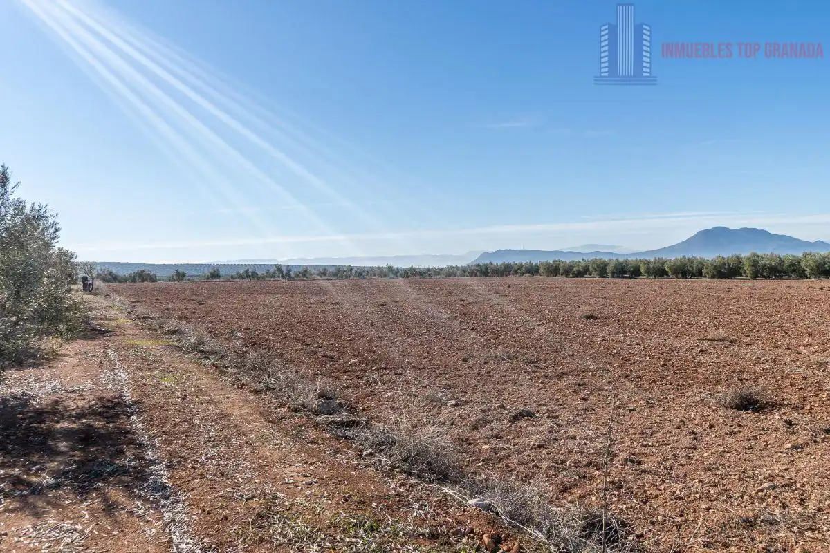 Terreni e lotti in vendita a Pago cortijo de las Monjas Parcela 19, imagen 35