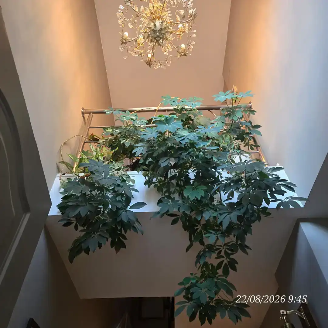 Terrassa de Casa o xalet en venda en Valdemoro amb Aire condicionat, Piscina i Balcó