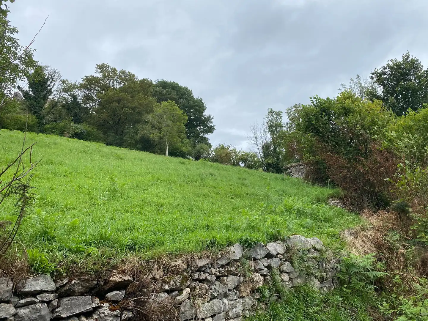 Houses for sale in Gamonedo, Cangas de Onís