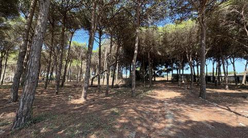 Foto 4 de Terreno en venta en Las Lagunas - Campano, Cádiz