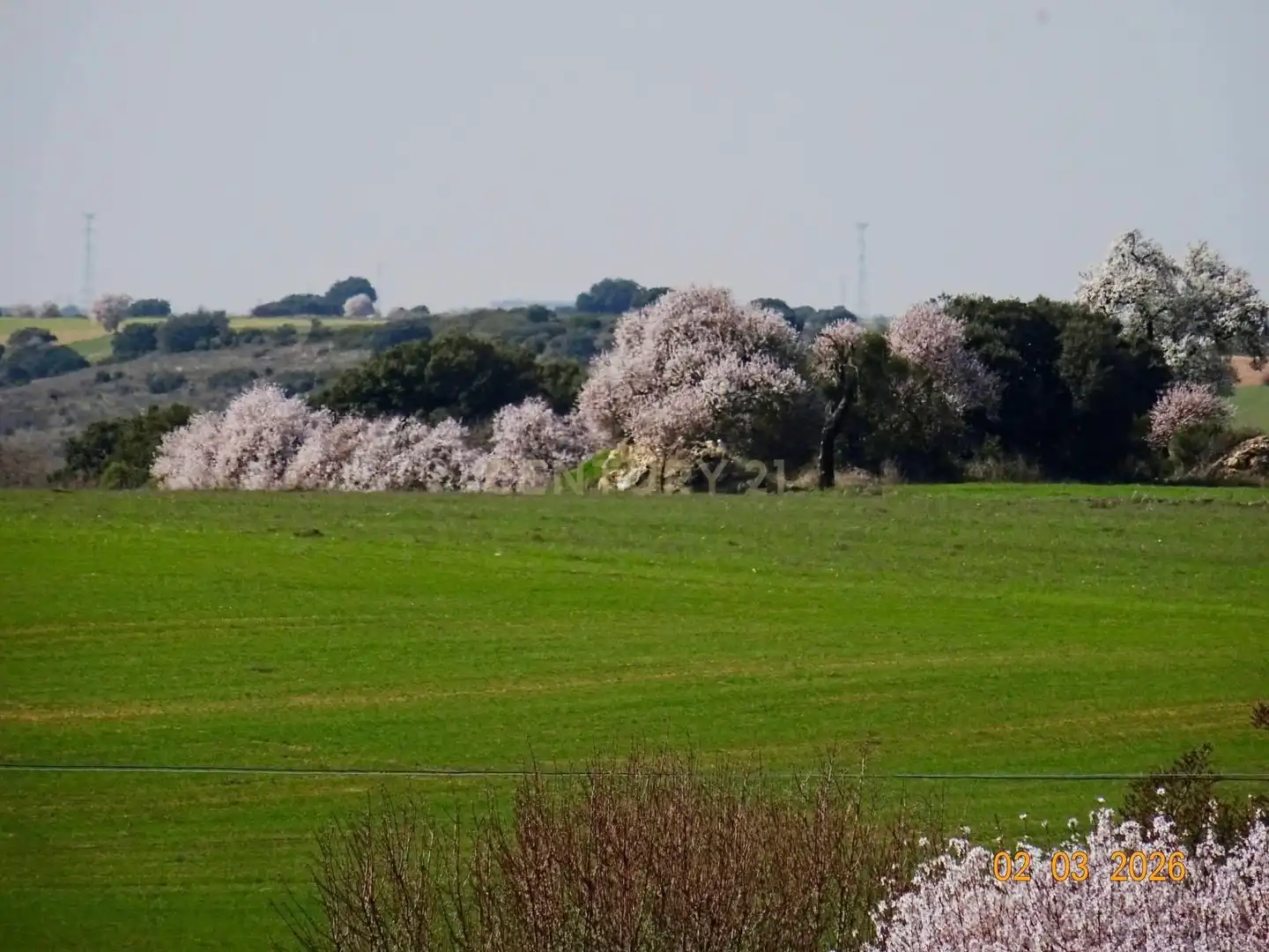 Terreno en venta en Valdeavellano