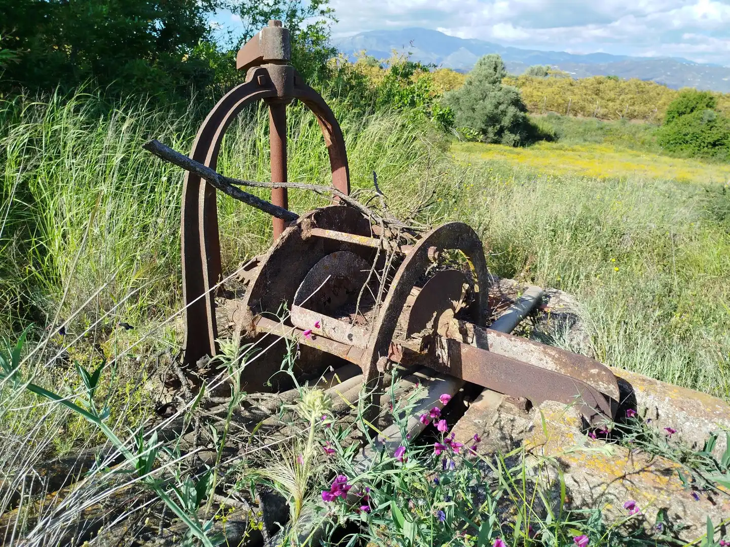 Jardí de Finca rústica en venda en Benamocarra amb Jardí privat