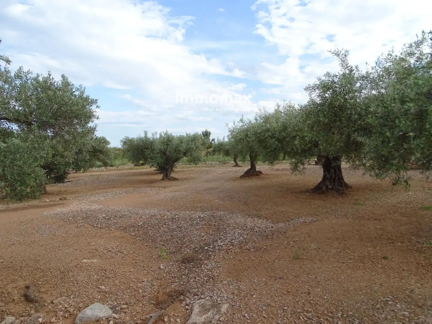 Terrain résidentiel à vendre à 14, imagen 13
