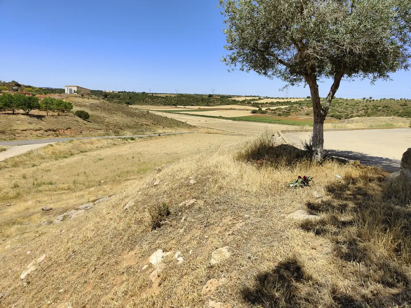 Terreni e lotti in vendita a Vallhermoso de la Fuente, imagen 55